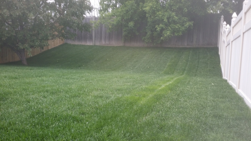 sloping%20back%20yard%20with%20new%20grass