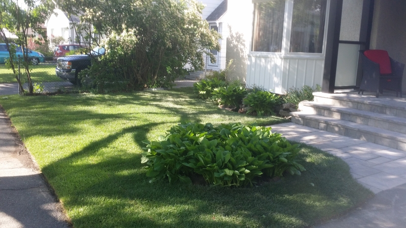 small%20front%20lawn%20with%20new%20grass