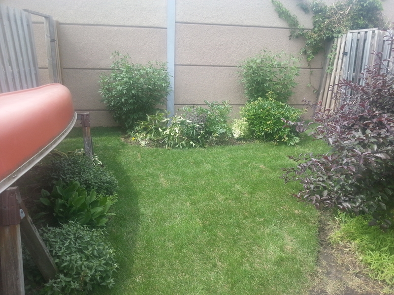 small%20new%20lawn%20with%20gardens%20all%20around