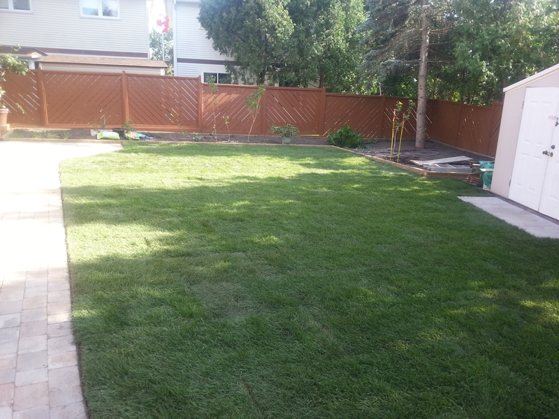 sod%20installation%20in%20back%20yard%20beside%20walking%20path