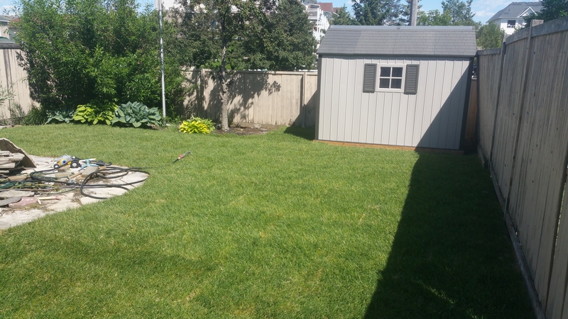 sodding%20back%20lawn%20in%20barrhaven