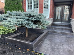 Stamped concrete walkway and steps leading to a front door, with a raised concrete planter containing a small evergreen tree.