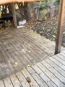 Wood deck with scattered autumn leaves, covered posts, outdoor grill, and a hockey net in the background