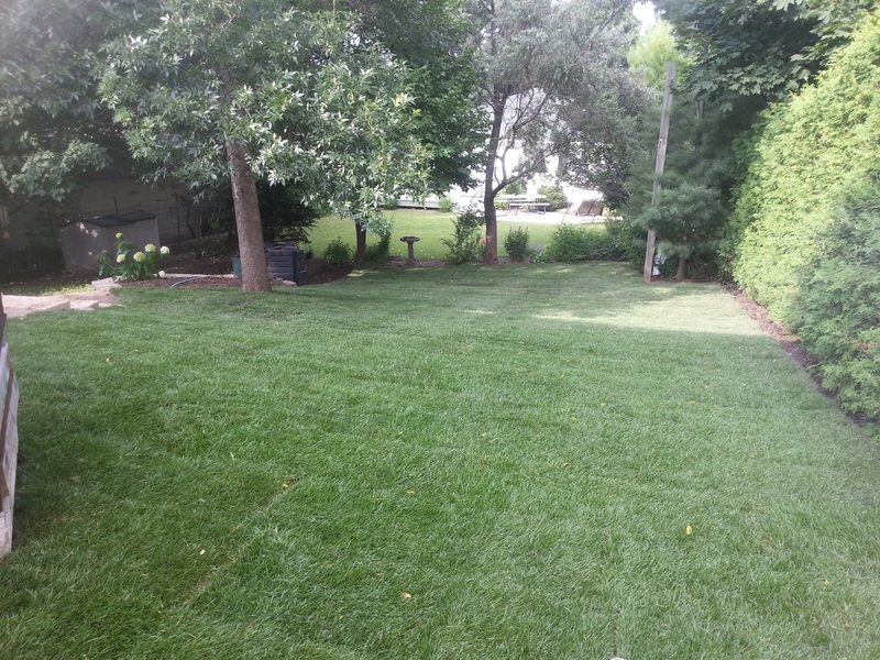 treed%20back%20lawn%20after%20grading%20sodding%20westboro