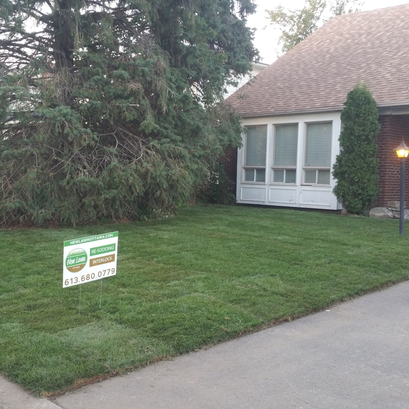 well%20graded%20new%20sod%20front%20lawn%20in%20nepean