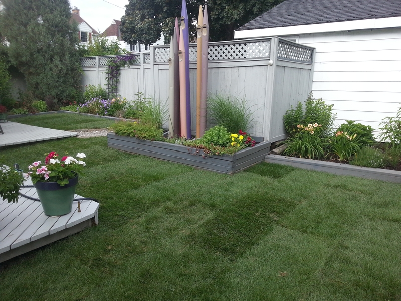 westboro%20back%20lawn%20replacement