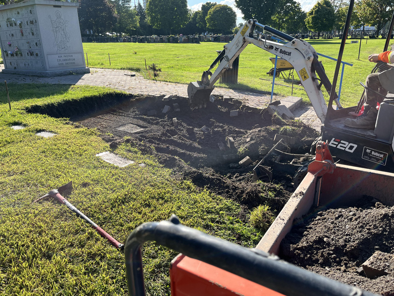 mini excavator loading a material carrier