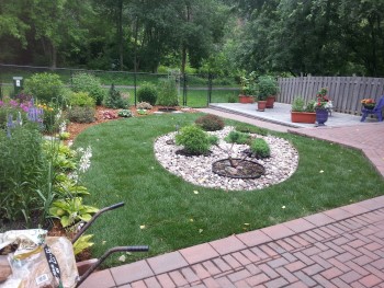 small back yard with new sod