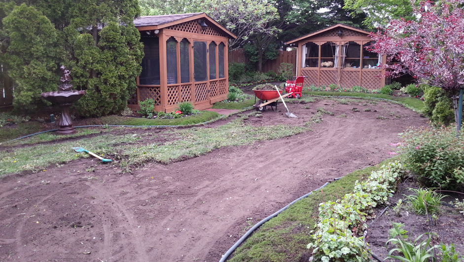 excavated back lawn