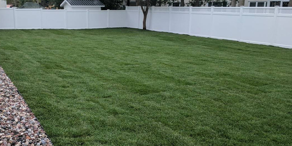 back lawn with new sod and white fence