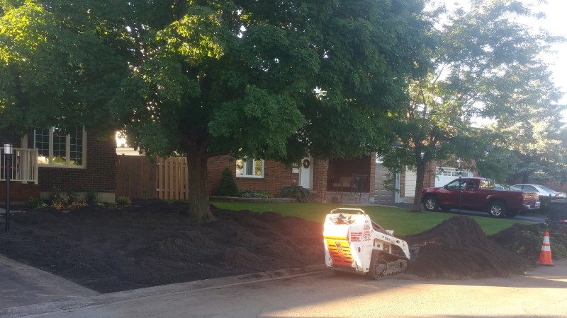 soil spread on lawn with no grass