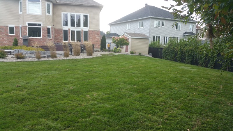 ottawa back lawn after re-gradding and re-sodding