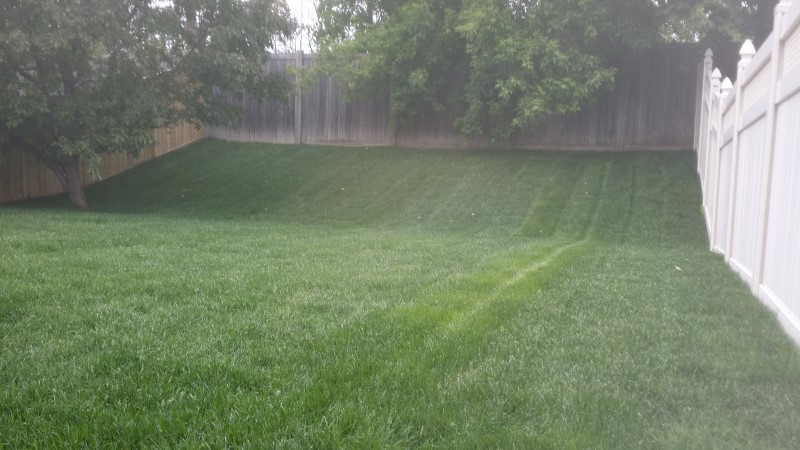lawn grading and sod install ottawa